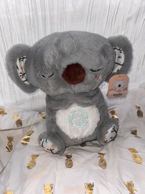 Evora Koala Anxiety Animal